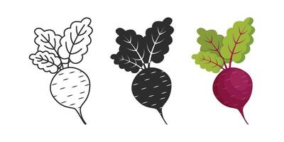 A beetroot is shown in three different colors vector
