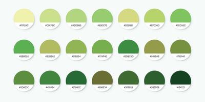 A set of green and white color swatches vector