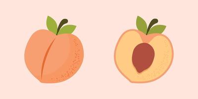 A peach and a half eaten peach vector