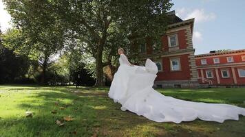 Bride running toward groom across garden path under large tree, Playful wedding moment in sunlight near red brick building with autumn leaves on the grass video