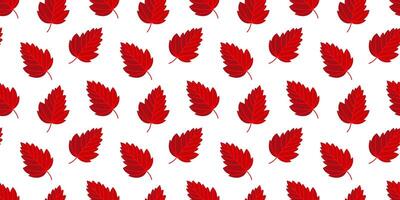 Red autumn leaf seamless pattern background vector
