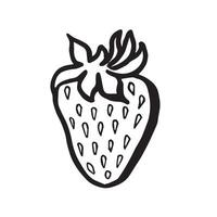 Strawberry hand drawn isolated illustration for food product desing. Fresh garden berries black and white sketch, organic healthy food. Summer fruit in line art style for cosmetic and textile. vector