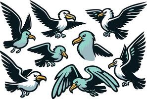 Funny Albatross Characters vector