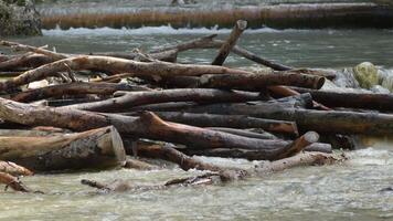 Riverbed with wood trunk and pure mountain water running video