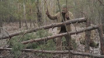 Man Building a Survival Shelter in Spring Forest, A man constructs a bushcraft shelter using branches and pine in the forest. video