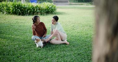 Handheld high angle view shot, Two women are relaxing on the lawn, talking and joyfully playing with a cat in the park. Leisure activities video