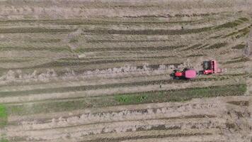 Aerial view, Red tractor working in a striped field during autumn, showcasing agricultural patterns and rural landscape. video