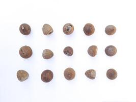 Areca Nut Seeds Top View Isolated on White Background photo