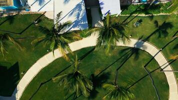 Top view. residence with paths and lawn into tourist beach with loungers merging video