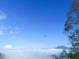 View of Mount Batur, Bangli, Bali with a blue sky decorated with white clouds and a swallow in flight. photo