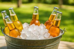 Chilled Bottles in an Ice Bucket on a Sunny Day photo