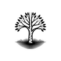 Split Tree Emblem, Symbol of Growth and Division vector