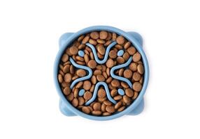 Cat blue slow Feeding Bowl isolated on white background photo