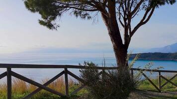 Praia a Mare, Fantastic Sunset View. Tree Against the Backdrop of the Sea and Dino Island. video