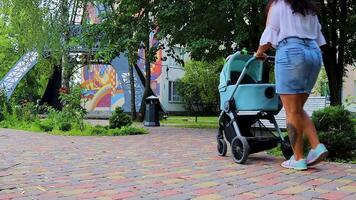 Happy Mother Talking to Her Baby in the Stroller While Walking in the Park. Portrait of a Happy Mother, Relaxing With a Child in a Summer Park. video