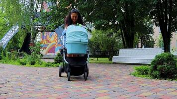 Happy Mother Talking to Her Baby in the Stroller While Walking in the Park. Portrait of a Happy Mother, Relaxing With a Child in a Summer Park. video
