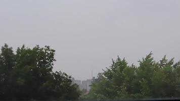 A Tree Under Heavy Rain and Very Strong Wind. Shot Through a Rain-Drenched Window. Tropical Storm Concept. video