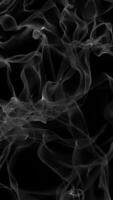 Abstract flowing smoke-like shapes in grayscale on a dark background video