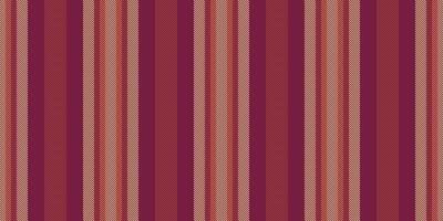 Firthday textile texture , luxury lines fabric pattern. Layout background seamless vertical stripe in pink and amber colors. vector