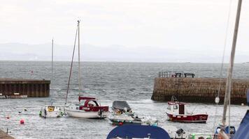 Sailboats docked in a Scottish harbor video