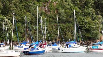 Multiple boats docked in a scenic harbor video