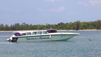 A speedboat cruises calmly across clear waters near Sarasin Bridge, Phuket, under bright daylight with lush greenery in the background video