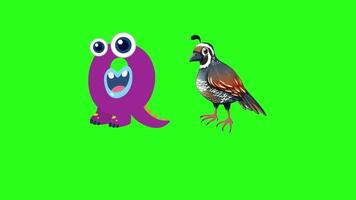 Bright, playful animation with a purple character and quail on a green background, emphasizing the letter Q video