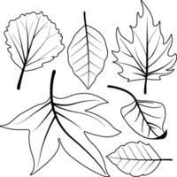 Collection of different dry autumn leaves. Autumn season plant and trees foliage. Fall foliage decoration from various fallen tree leaves. Black and white coloring page vector