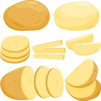 Various potatoes in different cuts and shapes vector