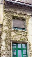 Entwined ivy caresses a quaint stone facade, whispering secrets of Beltane rebirth and rustic nostalgia beneath verdant window frames photo