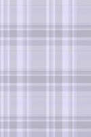 Net textile check tartan, modern fabric texture seamless. Symmetry background pattern plaid in light and grey colors. vector