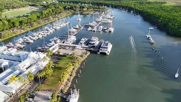 Drone footage captures boats navigating a tropical marina surrounded by lush greenery and clear skies in Port Douglas, Australia video