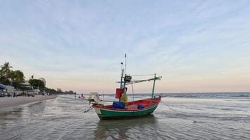 A colorful boat sails towards a palm-lined beach video