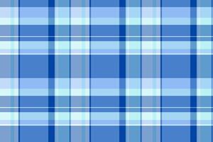 Stylish blue plaid pattern. Modern textile design. Suitable for backgrounds, fabrics, digital arts, and print projects. Clean and contemporary. vector