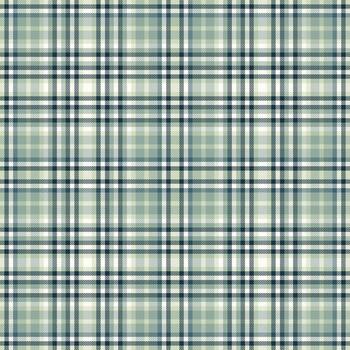 Elegant plaid pattern. Sophisticated texture for backgrounds, apparel, or design projects. Classic style meets modern needs. Versatile stylish backdrop. vector