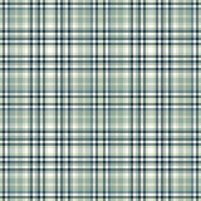 Elegant plaid pattern. Sophisticated texture for backgrounds, apparel, or design projects. Classic style meets modern needs. Versatile stylish backdrop.