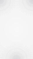 Subtle Monochrome Mandala Looping Animation Vertical Background with Delicate Details and Soft Gradients video