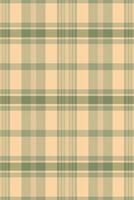 Subtle sage green and beige plaid pattern. Perfect for textile design, backgrounds, or autumnal projects. Evokes feelings of warmth, comfort, and rustic charm. vector