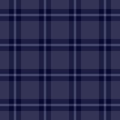 Sophisticated navy blue plaid pattern. Elegant and versatile design perfect for website backgrounds, textiles, apparel, or stationery.
