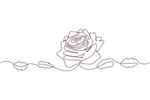 Simple hand-drawn rose flower single line drawing isolated on white background. Decorative rose with leaf outline vector