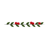 Delicate branch with vibrant red berries and lush green leaves, arranged in linear pattern. simplicity and natural beauty evoke sense of tranquility and elegance png