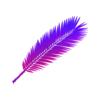 Vibrant, colorful palm leaf with gradient of pink and purple hues, isolated on transparency background, creating tropical and artistic feel png