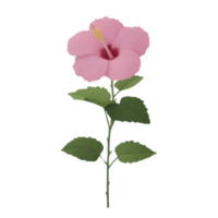 Pink hibiscus flower with green leaves on stem, showcasing its delicate petals and vibrant color. flower is isolated on transparency background, highlighting its natural beauty png
