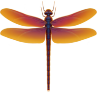 Vibrant dragonfly with gradient wings in shades of orange and purple is depicted in detailed illustration. insect delicate wings and elongated body are highlighted against transparent background png