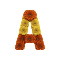 Letter made from vibrant orange and yellow gerbera daisies, creating colorful and cheerful floral design. arrangement is isolated on transparency background png