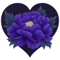 Vibrant purple peony flower with lush petals and yellow center is beautifully set against dark heart shaped background, creating striking contrast png