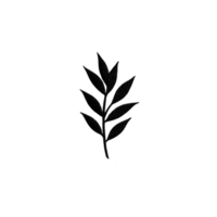 Simple black silhouette of leafy branch with multiple leaves on transparency background, conveying minimalistic elegance png
