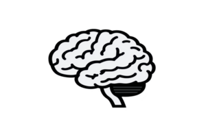 Simple black and white illustration of human brain, showcasing its intricate structure and design. image highlights brain complexity and is ideal for educational or scientific purposes png