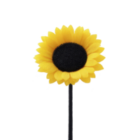 Vibrant yellow sunflower with dark center stands against plain background, showcasing its bright petals and natural beauty. simplicity highlights flower cheerful and sunny appearance png