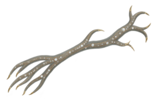 Decorative branch with intricate patterns and pearl like embellishments, featuring metallic finish and elegant curves, creating luxurious and artistic appearance png